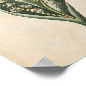  flank Lily van de Valley Print (Hoek)