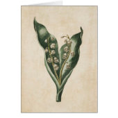  flank van de Valley (Voorkant)