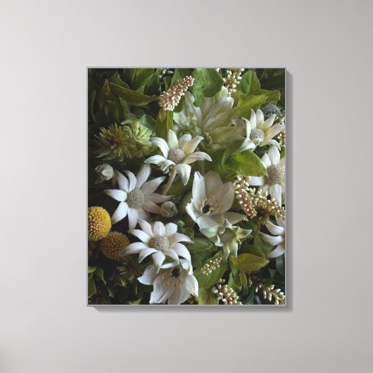Flannel Flower Velvet Texture Fine Art Canvas Afdruk (Voorkant)
