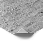 Flapper BATHING BEAUTIES 1923 Poster (Hoek)