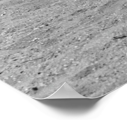 Flapper BATHING BEAUTIES 1923 Poster (Hoek)