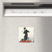 Flapper en Roadster Magneet (Insitu (Vaatwasser))