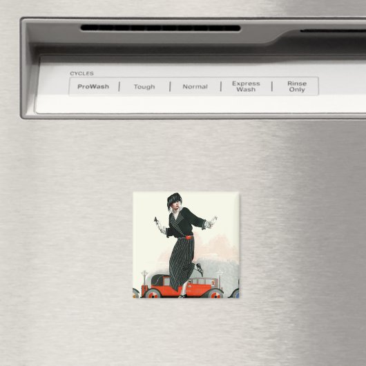 Flapper en Roadster Magneet (Insitu (Vaatwasser))