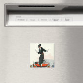 Flapper en Roadster Magneet (Insitu (Vaatwasser))
