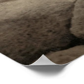 Flapper Girls Sunrise Khufu Pyramid, Egypte 1920 Poster (Hoek)