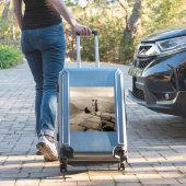 Flapper Girls Sunrise Khufu Pyramid, Egypte 1920 Sticker (Koffer Insitu)