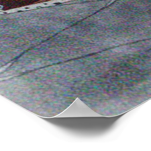 Flapper Woman in Cloche Hat Bird Hunting Poster (Hoek)