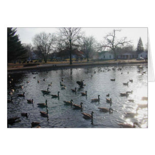 Flapping Goose kaart