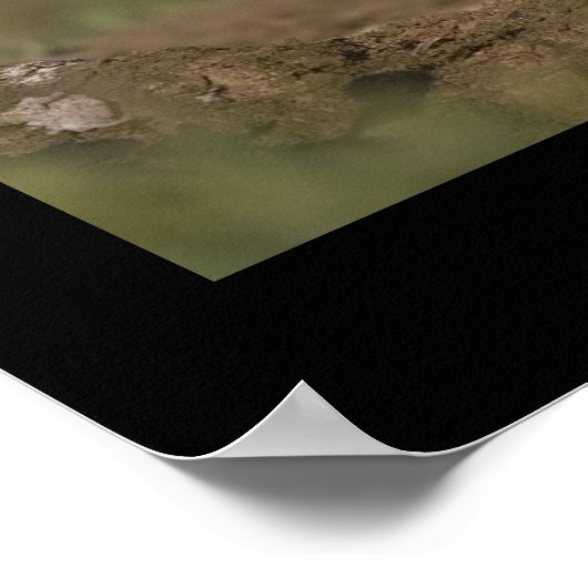 Flapping Puffin Poster (Hoek)