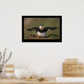 Flapping Puffin Poster (Keuken)