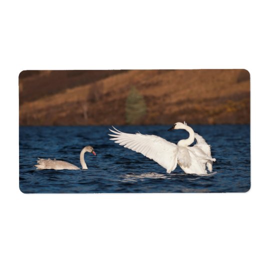Flapping Swan Etiket (Voorkant)