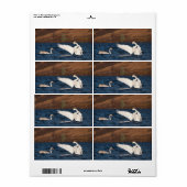 Flapping Swan Etiket (Full Sheet)