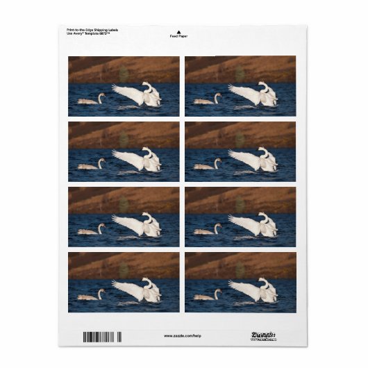 Flapping Swan Etiket (Full Sheet)