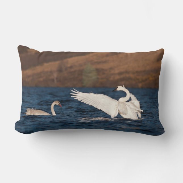 Flapping Swan Kussen (Voorkant)