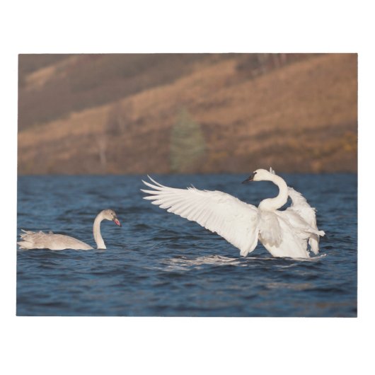 Flapping Swan Notitieblok (Voorkant)
