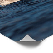 Flapping Swan Poster (Hoek)