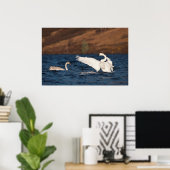 Flapping Swan Poster (Thuiskantoor)