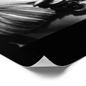 Flash Gordon verovert het Poster Universe Movie (Hoek)