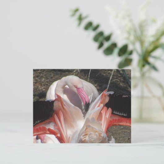 Flash Me! Briefkaart (Staand voorkant)