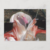 Flash Me! Briefkaart (Voorkant)