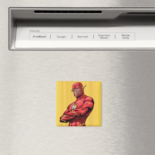 Flash Permanent Magneet (Insitu (Vaatwasser))