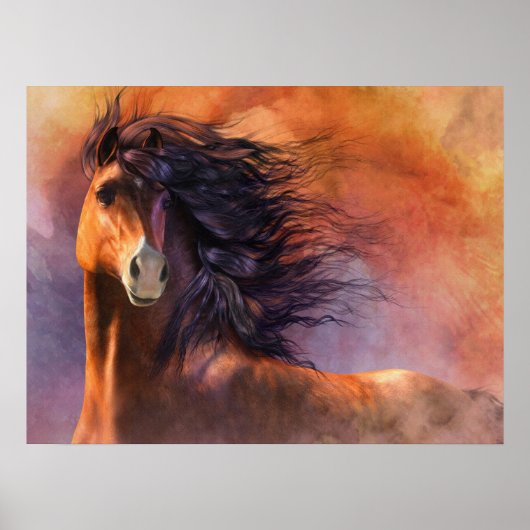 Flash-Poster Poster (Voorkant)