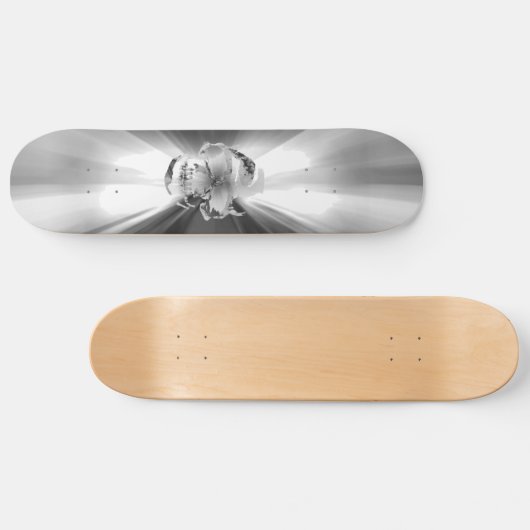 FLASH SKULL SILVER SURFER SKATEBOARD (Horizontaal)