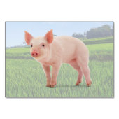 Flashcard pig ABA Tact Labelling | KAART AFBEELDIN (Voorkant)