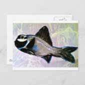 Flashlight Fish Briefkaart (Voorkant / Achterkant)