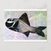 Flashlight Fish Briefkaart (Voorkant)