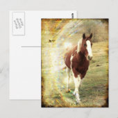 Flashy Briefkaart (Voorkant / Achterkant)