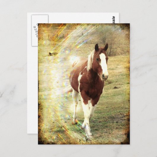 Flashy Briefkaart (Voorkant / Achterkant)