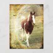 Flashy Briefkaart (Voorkant)