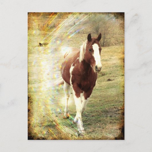 Flashy Briefkaart (Voorkant)