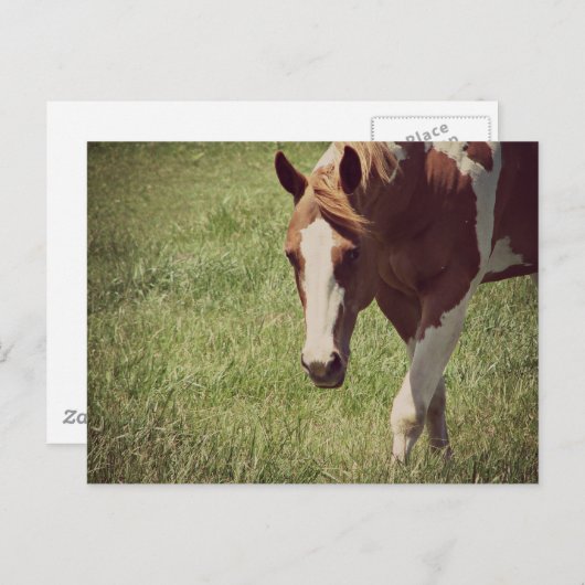 Flashy Briefkaart (Voorkant / Achterkant)