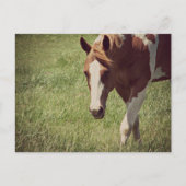 Flashy Briefkaart (Voorkant)