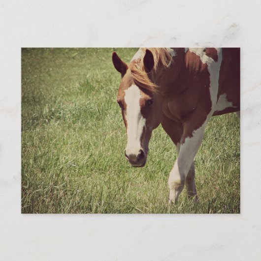 Flashy Briefkaart (Voorkant)