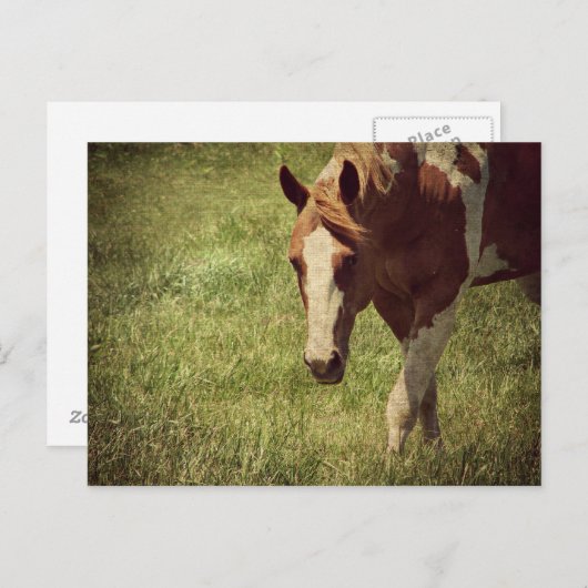 Flashy Briefkaart (Voorkant / Achterkant)