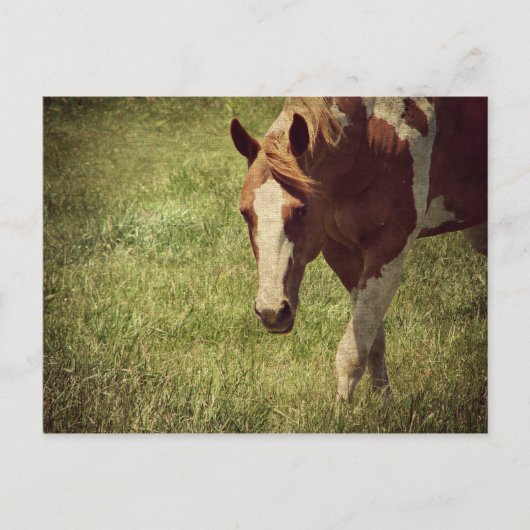 Flashy Briefkaart (Voorkant)