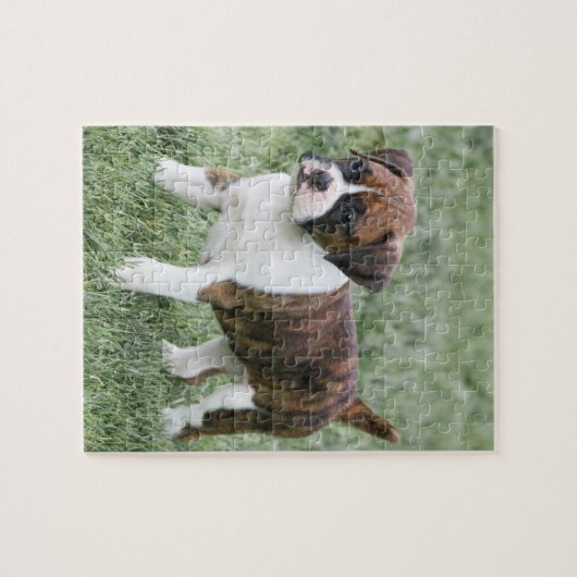 Flashy Brindle Boxer Puppy - Boxer Dog Puzzle Legpuzzel (Horizontaal)