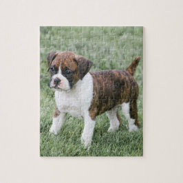 Flashy Brindle Boxer Puppy - Boxer Dog Puzzle Legpuzzel