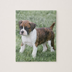 Flashy Brindle Boxer Puppy - Boxer Dog Puzzle Legpuzzel
