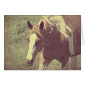 Flashy Faux (Voorkant Horizontaal)