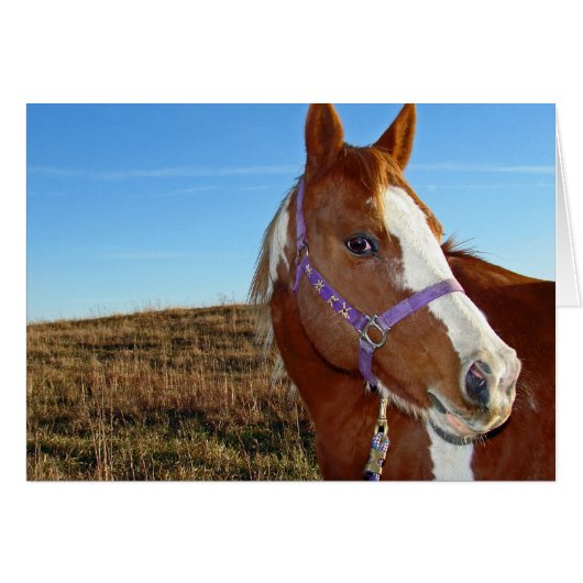 Flashy in Nebraka (Voorkant Horizontaal)