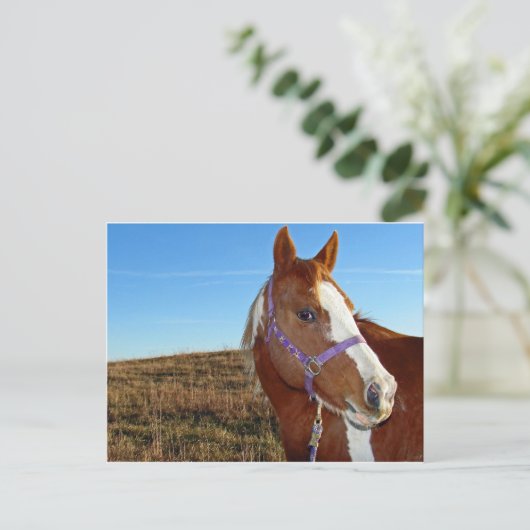 Flashy in Nebraka Briefkaart (Staand voorkant)