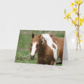 Flashy in Springtime Kaart (Gele Bloem)