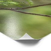 Flashy Male Vermiljoen Flycatcher-vogel Foto Afdruk (Hoek)