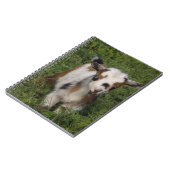 Flashy Nigerian Dwarf Dairy Goat Kind Notitieboek (Linkerzijde)