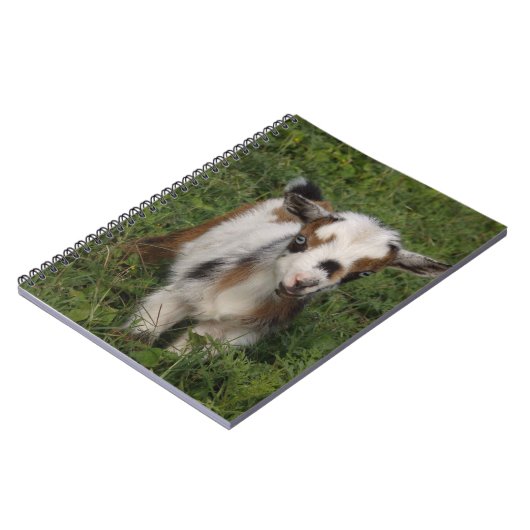 Flashy Nigerian Dwarf Dairy Goat Kind Notitieboek (Linkerzijde)