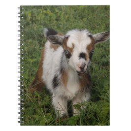 Flashy Nigerian Dwarf Dairy Goat Kind Notitieboek